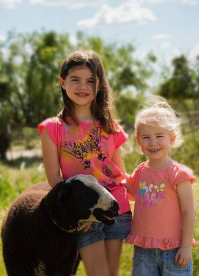 Texas Sheep and Goat Raisers Association